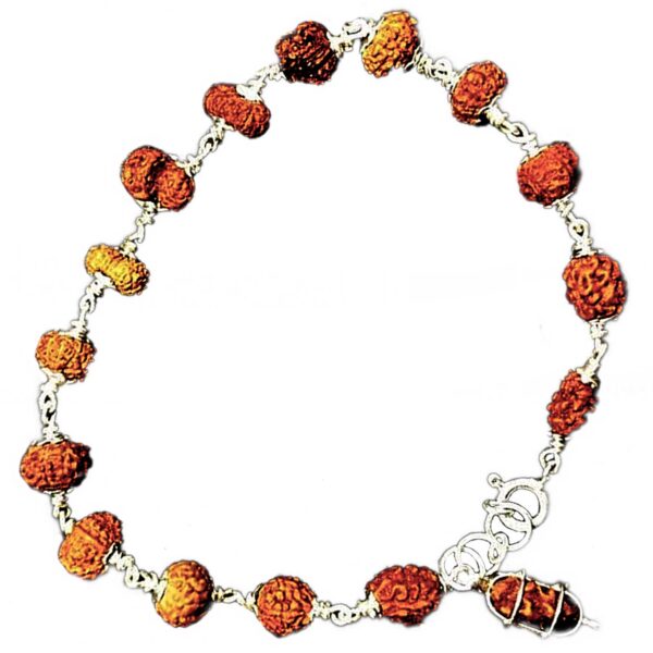 1 to 14 mukhi rudraksha bracelet in silver