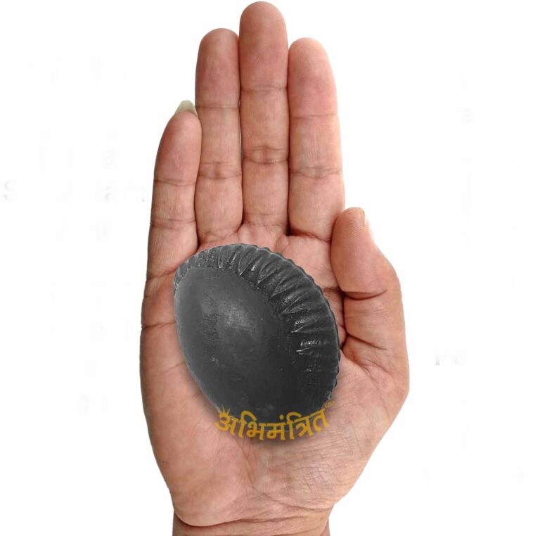 Damodar Shaligram
