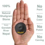 Hiranyagarbha Shaligram Nepal