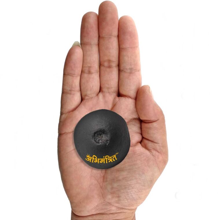 Hiranyagarbha Shaligram