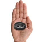 Lakshmi Narasimha Shaligram