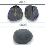 Shiva Shaligram Stone @ Best Price Abhimantrit®