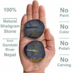Shiva Shaligram Stone @ Best Price Abhimantrit®