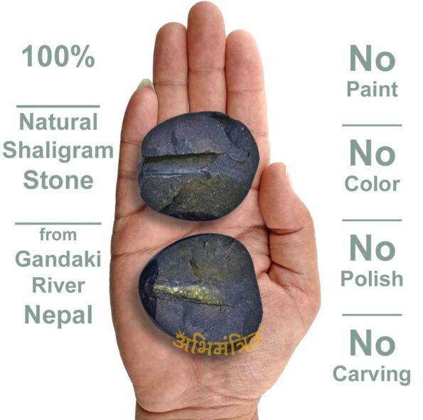 Shiva Shaligram Nepal