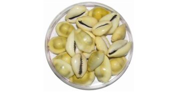 pooja items online