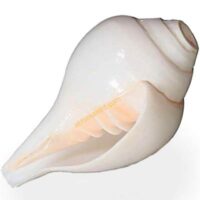 pooja items online