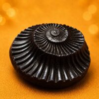 Shaligram Stone